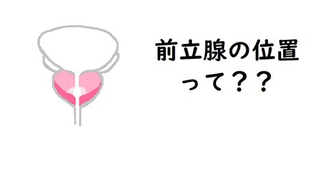 前立腺気持ちいい|前立腺の位置の探し方は？実際の感触とポイントを見。